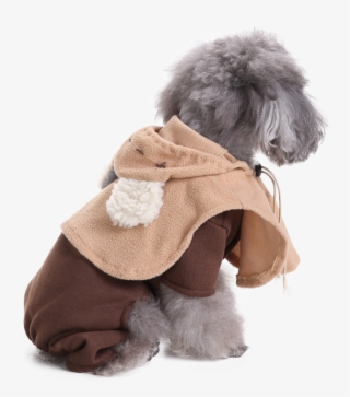 Costume
