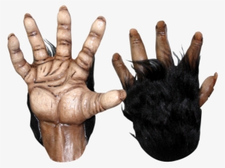 Monster Hands Png Png Black And White Download - Chimp Hands And Feet