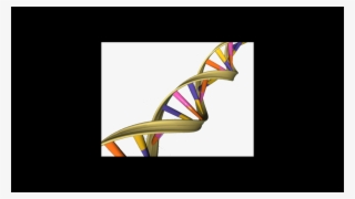 Gene Therapists Ask To Be Released From The Rac - Dna Double Helix