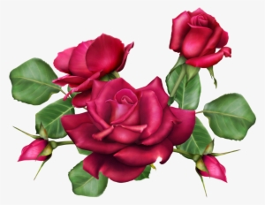 Jaguarwoman Flower Design