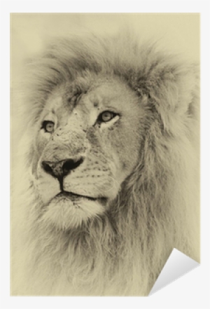 Toned Face Sticker Pixers - Doomsday Diaries Iv: Luke And The Lion