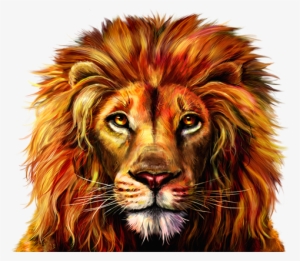 Lion Face Png Download - Lion Phoenix