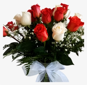 Love With Color - Garden Roses