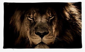 Lion Face Pillow Case - Iphone Wallpaper Lion Hd