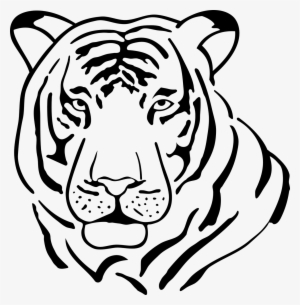 Black Vector White Tiger - Tiger Clipart