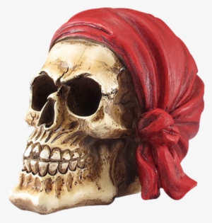 Pirate Skull With Red Bandana Statue - Skull