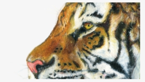 My Latest Artwork - Drawing