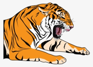 Comic Cartoon Shirt Tiger Lion Wildcat Animal