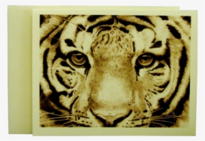 Clemson University Tiger Face Note Cards - Schetsen &amp; Tekenen Voor Beginners