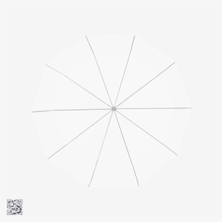 Illustration Of The Race-track Pattern Following Behaviour - Plot