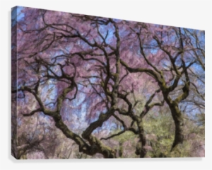 Abstract Cherry Blossom Tree Canvas Print - Canvas Print