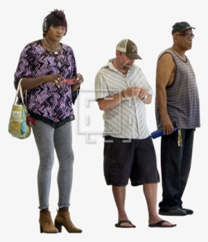 Parent Category - Bus