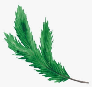 This Graphics Is Green Christmas Leaf Christmas Transparent - Christmas Day