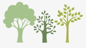 Help Us Plant A Million More Trees - More Trees