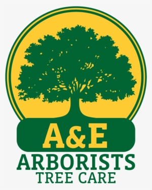 A&e Arborists Tree Care - Upgris