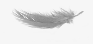 Gettickets - Nobuo Uematsu / Distant Worlds Ii: More Music