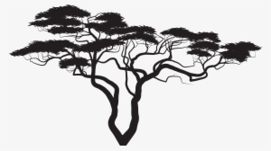 Exotic Tree Silhouette Png Clip Art Image
