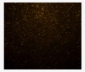 Brown Background Png K Pictures Full Hq - Star