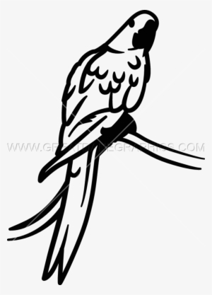 Macaw Clipart Hyacinth Macaw - Clip Art