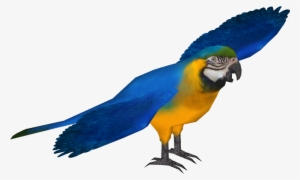 Blue And Gold Macaw - Zoo Tycoon 2 Macaw