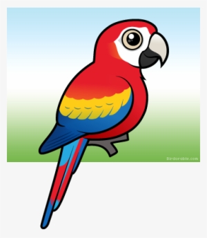 More Products - Draw A Cute Scarlet Macaw