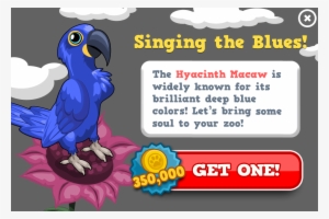 Hyacinth Macaw Modal - Cartoon