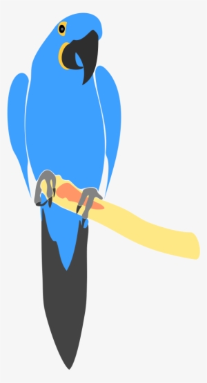 Hyacinth Macaw Drawing - Blue Macaw Vector Png