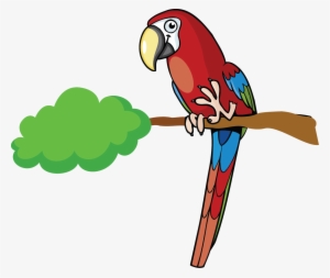 Description For Macaw - Papagayo Animado Png