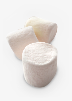 Banner Library Marshmallow Transparent - Goat Cheese