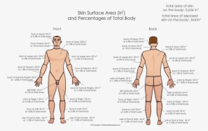 Ds Store - Back Pain