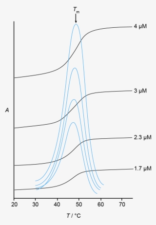 Uv Melting Curves And Derivatives - Derivative
