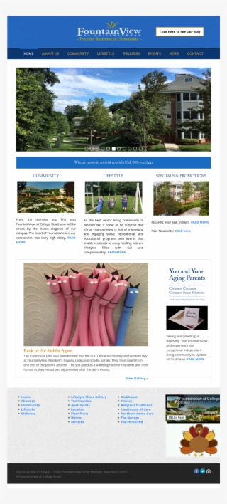 Website History - Brochure
