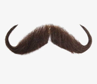 For This Time You Need To Make Photo Bomb With This - Transparent Background Moustache Png