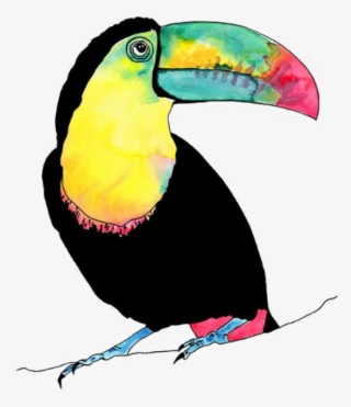 Tucan Bird Vogel Animal Birds Animals Petsandanimals - Watercolour Tropical Birds