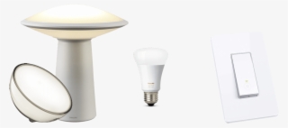 Bulb Vs Switche Vs Lamp - Incandescent Light Bulb