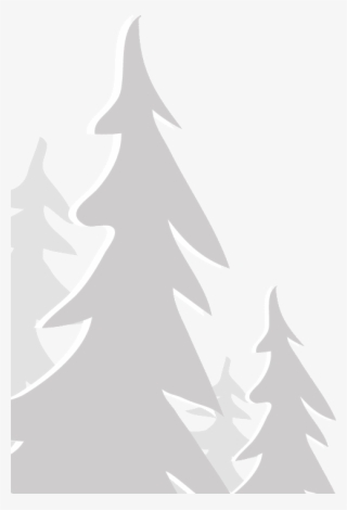 Apex Outfitter And Board Co - Apex Outfitter & Board Co.