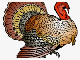 Korn Clipart Thanksgiving - Thanksgiving Turkey Clipart Free