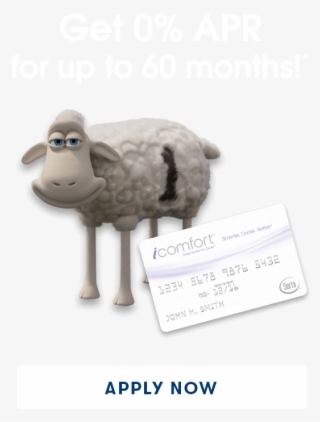 0% Financing Up To 60 Months - Finance