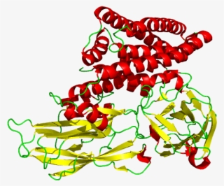 4arx - Cry1ab Protein