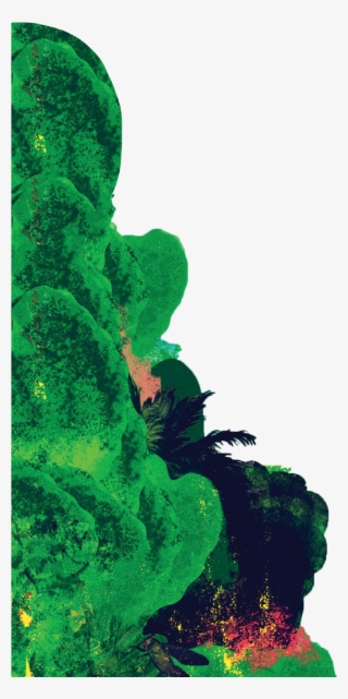 Meet The Band - Green Algae