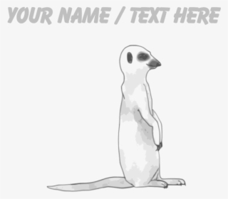 Custom Meerkat Drinking Glass