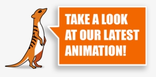 Meerkat Monitoring System - Destination Jeddah