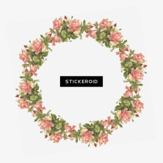 Easter Flower - Flower Frame Transparent Background