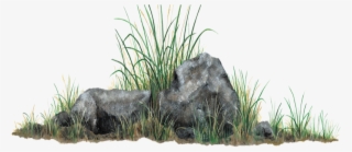 Rock And Grass