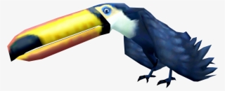Toucan