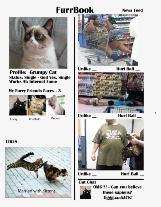 Of Course We'd Be Spying On Our Own Cats And Extending - Accoutrements Inflatable Unicorn Horn For Cats, One