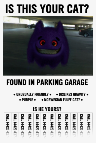 Cat Found Cunexpectedtoy, Gengar Ⓒ 2018 Pokémon