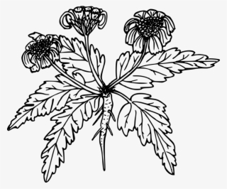 Monarch Butterfly Computer Icons Floral Design Flower - Clip Art