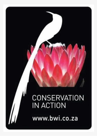 Biodiversity & Wine Initiative - Protea