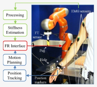 Kuka Light Weight Robotic Arm, Emg Electrodes, Peg, - Stairs